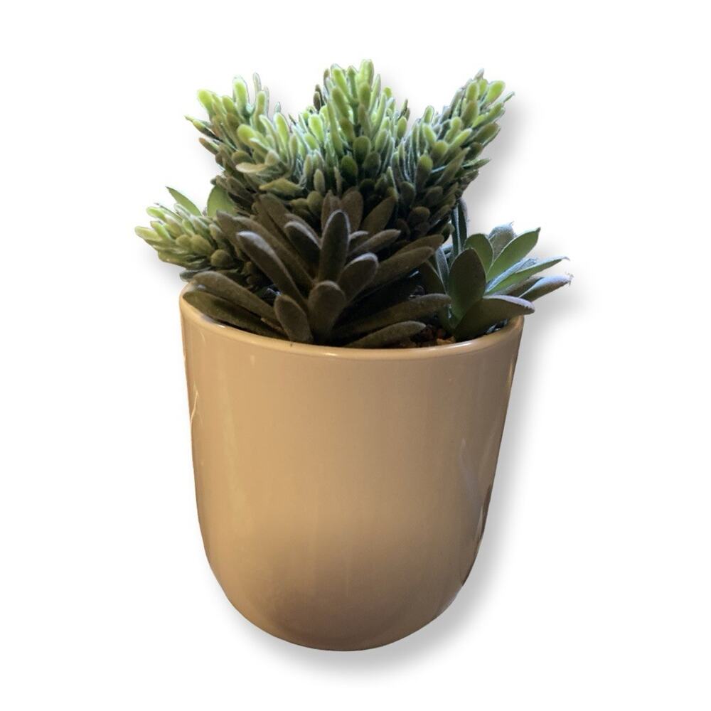 iHome PowerPlant USB Charger Faux Succulent 3 USB Charging Ports USB-C/USB-A - Picture 2 of 5